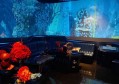 模型电影工作室招聘条件（模型电影工作室招募标准）