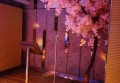 华美眼镜工作室招聘条件（华美眼镜工作室招聘标准与要求）