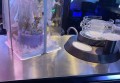 杭州西湖区文新街道附近夜场招聘商务礼仪,(好上班的不挑人)