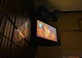 晨曦酒店经理招聘条件（晨曦酒店诚聘英才：全面解析职位要求）