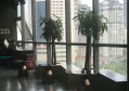仓库发货招聘文案（仓库物流岗位招聘启事）
