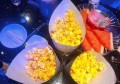 招聘导师文案（招募导师宣传文案）